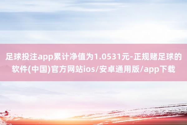 足球投注app累计净值为1.0531元-正规赌足球的软件(中国)官方网站ios/安卓通用版/app下载