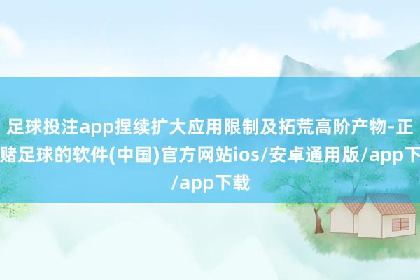 足球投注app捏续扩大应用限制及拓荒高阶产物-正规赌足球的软件(中国)官方网站ios/安卓通用版/app下载