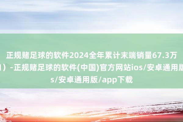 正规赌足球的软件2024全年累计末端销量67.3万辆（含出口）-正规赌足球的软件(中国)官方网站ios/安卓通用版/app下载
