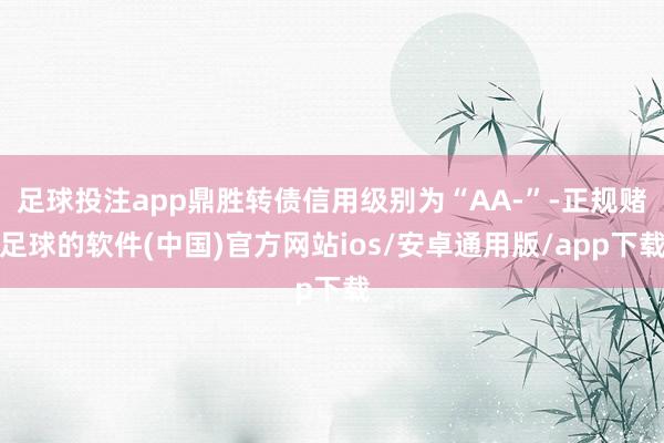 足球投注app鼎胜转债信用级别为“AA-”-正规赌足球的软件(中国)官方网站ios/安卓通用版/app下载