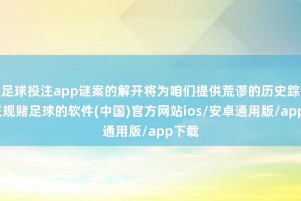 足球投注app谜案的解开将为咱们提供荒谬的历史踪影-正规赌足球的软件(中国)官方网站ios/安卓通用版/app下载
