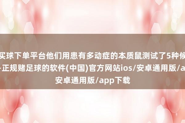 买球下单平台他们用患有多动症的本质鼠测试了5种候选药物-正规赌足球的软件(中国)官方网站ios/安卓通用版/app下载