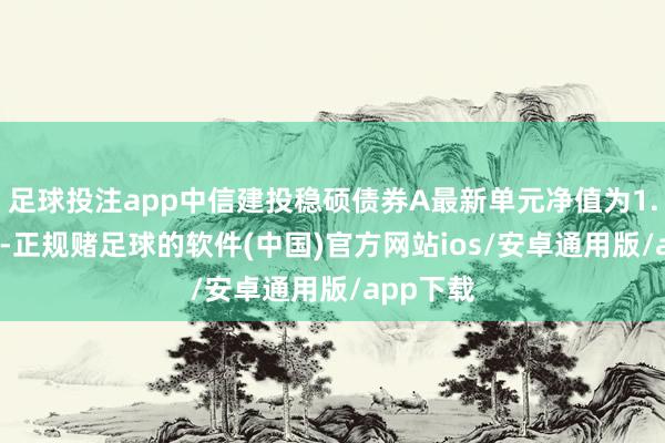 足球投注app中信建投稳硕债券A最新单元净值为1.0513元-正规赌足球的软件(中国)官方网站ios/安卓通用版/app下载