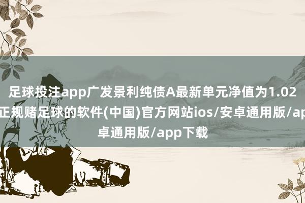 足球投注app广发景利纯债A最新单元净值为1.0294元-正规赌足球的软件(中国)官方网站ios/安卓通用版/app下载