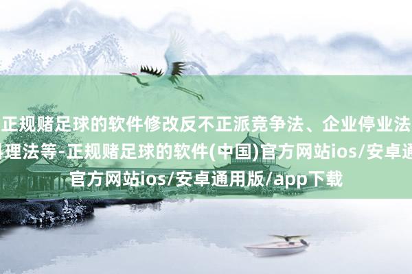 正规赌足球的软件修改反不正派竞争法、企业停业法、银行业监督料理法等-正规赌足球的软件(中国)官方网站ios/安卓通用版/app下载