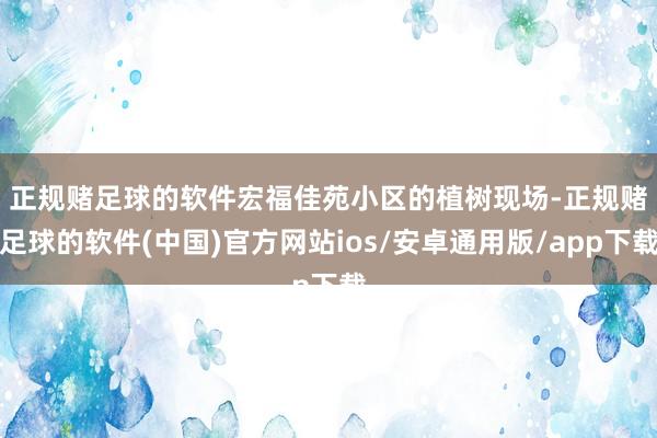 正规赌足球的软件　　宏福佳苑小区的植树现场-正规赌足球的软件(中国)官方网站ios/安卓通用版/app下载