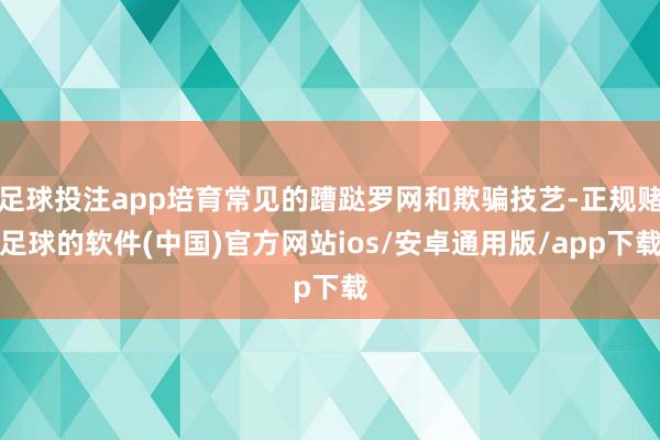足球投注app培育常见的蹧跶罗网和欺骗技艺-正规赌足球的软件(中国)官方网站ios/安卓通用版/app下载