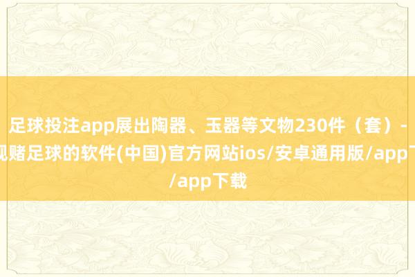 足球投注app展出陶器、玉器等文物230件（套）-正规赌足球的软件(中国)官方网站ios/安卓通用版/app下载