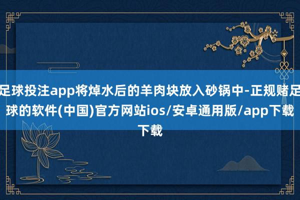足球投注app将焯水后的羊肉块放入砂锅中-正规赌足球的软件(中国)官方网站ios/安卓通用版/app下载