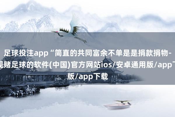 足球投注app“简直的共同富余不单是是捐款捐物-正规赌足球的软件(中国)官方网站ios/安卓通用版/app下载