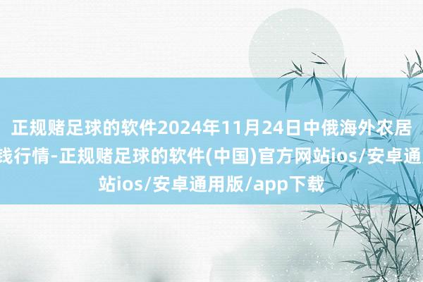 正规赌足球的软件2024年11月24日中俄海外农居品往还中心价钱行情-正规赌足球的软件(中国)官方网站ios/安卓通用版/app下载