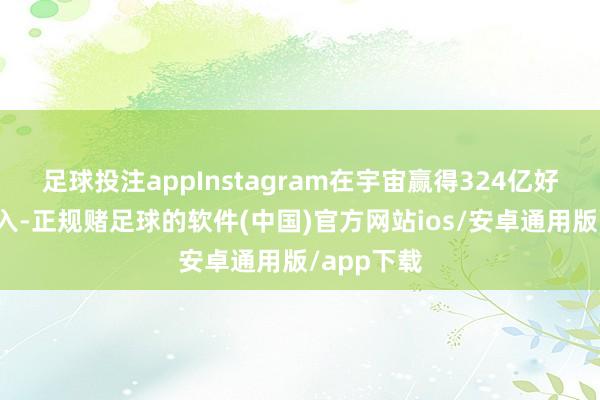 足球投注appInstagram在宇宙赢得324亿好意思元收入-正规赌足球的软件(中国)官方网站ios/安卓通用版/app下载