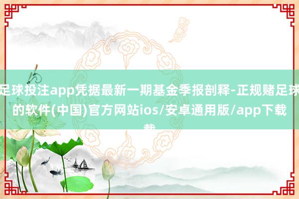足球投注app凭据最新一期基金季报剖释-正规赌足球的软件(中国)官方网站ios/安卓通用版/app下载