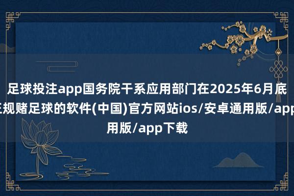 足球投注app国务院干系应用部门在2025年6月底前-正规赌足球的软件(中国)官方网站ios/安卓通用版/app下载