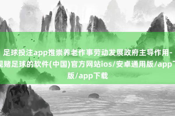 足球投注app推崇养老作事劳动发展政府主导作用-正规赌足球的软件(中国)官方网站ios/安卓通用版/app下载