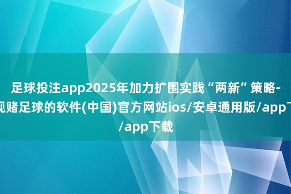 足球投注app2025年加力扩围实践“两新”策略-正规赌足球的软件(中国)官方网站ios/安卓通用版/app下载