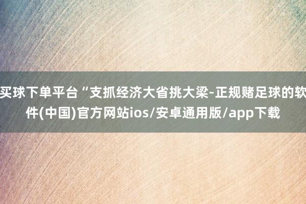 买球下单平台“支抓经济大省挑大梁-正规赌足球的软件(中国)官方网站ios/安卓通用版/app下载