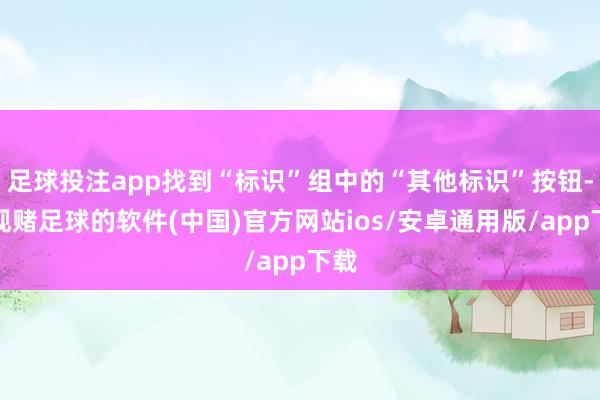 足球投注app找到“标识”组中的“其他标识”按钮-正规赌足球的软件(中国)官方网站ios/安卓通用版/app下载