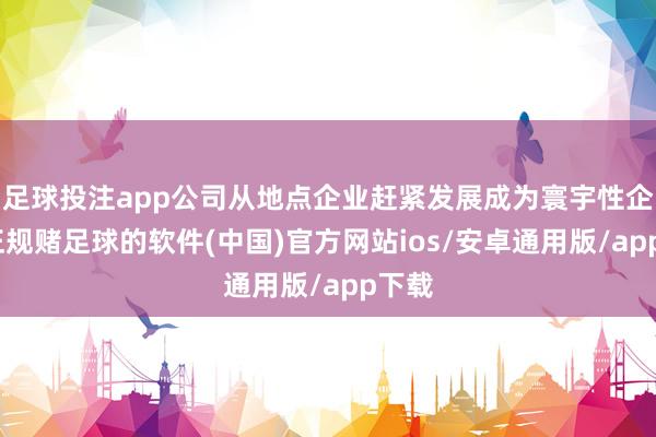 足球投注app公司从地点企业赶紧发展成为寰宇性企业-正规赌足球的软件(中国)官方网站ios/安卓通用版/app下载