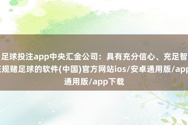 足球投注app中央汇金公司：具有充分信心、充足智力-正规赌足球的软件(中国)官方网站ios/安卓通用版/app下载