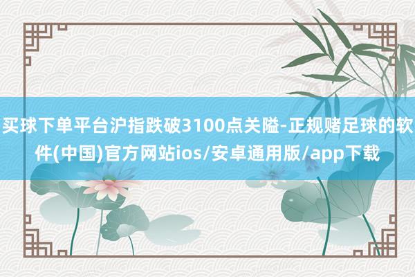 买球下单平台沪指跌破3100点关隘-正规赌足球的软件(中国)官方网站ios/安卓通用版/app下载