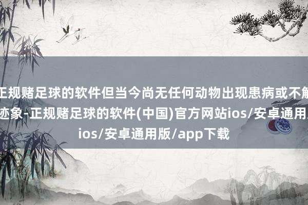 正规赌足球的软件但当今尚无任何动物出现患病或不解原因去世的迹象-正规赌足球的软件(中国)官方网站ios/安卓通用版/app下载