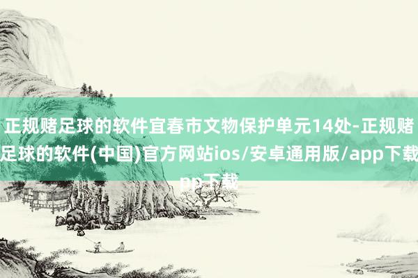 正规赌足球的软件宜春市文物保护单元14处-正规赌足球的软件(中国)官方网站ios/安卓通用版/app下载