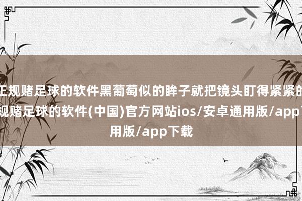 正规赌足球的软件黑葡萄似的眸子就把镜头盯得紧紧的-正规赌足球的软件(中国)官方网站ios/安卓通用版/app下载