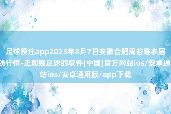 足球投注app2025年8月7日安徽合肥周谷堆农居品批发阛阓价钱行情-正规赌足球的软件(中国)官方网站ios/安卓通用版/app下载