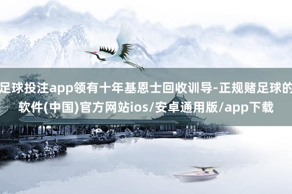 足球投注app领有十年基恩士回收训导-正规赌足球的软件(中国)官方网站ios/安卓通用版/app下载