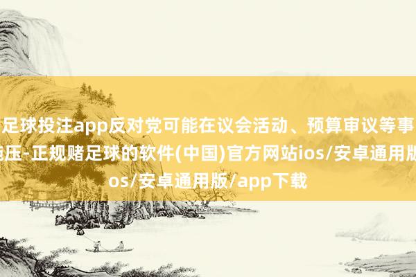 足球投注app反对党可能在议会活动、预算审议等事项上给其施压-正规赌足球的软件(中国)官方网站ios/安卓通用版/app下载