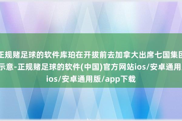 正规赌足球的软件库珀在开拔前去加拿大出席七国集团外长会议前示意-正规赌足球的软件(中国)官方网站ios/安卓通用版/app下载