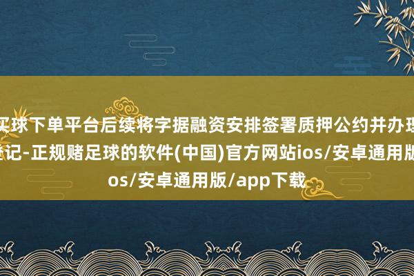 买球下单平台后续将字据融资安排签署质押公约并办理相干质押登记-正规赌足球的软件(中国)官方网站ios/安卓通用版/app下载