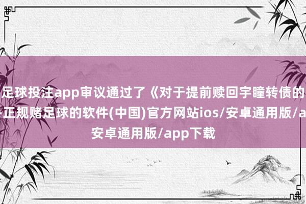足球投注app审议通过了《对于提前赎回宇瞳转债的议案》-正规赌足球的软件(中国)官方网站ios/安卓通用版/app下载