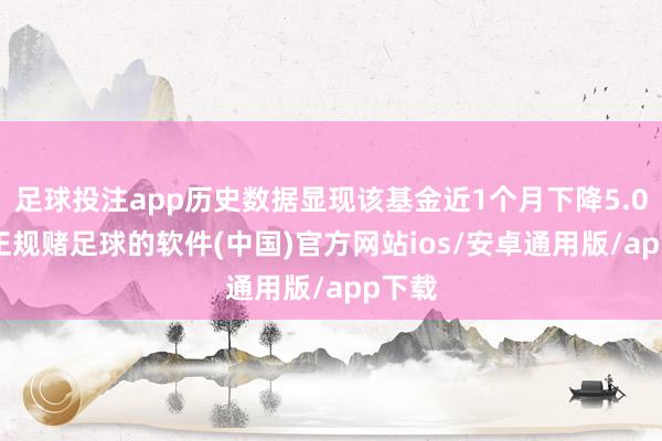 足球投注app历史数据显现该基金近1个月下降5.03%-正规赌足球的软件(中国)官方网站ios/安卓通用版/app下载