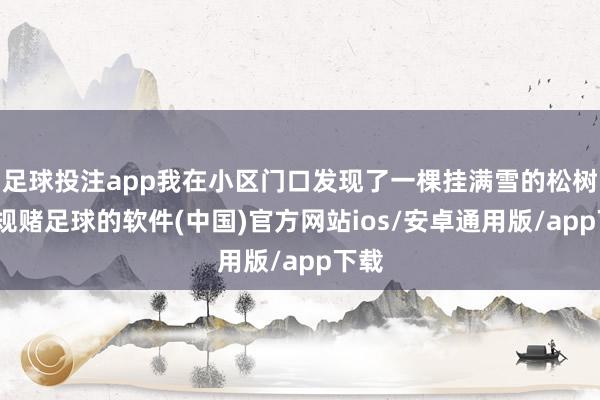 足球投注app我在小区门口发现了一棵挂满雪的松树-正规赌足球的软件(中国)官方网站ios/安卓通用版/app下载
