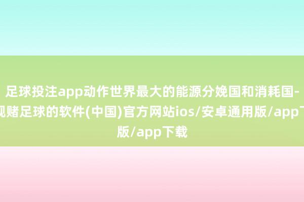 足球投注app动作世界最大的能源分娩国和消耗国-正规赌足球的软件(中国)官方网站ios/安卓通用版/app下载