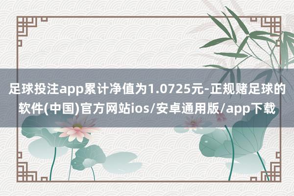 足球投注app累计净值为1.0725元-正规赌足球的软件(中国)官方网站ios/安卓通用版/app下载