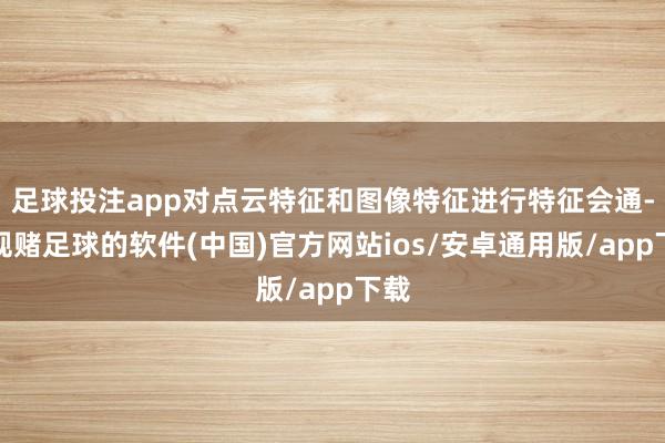 足球投注app对点云特征和图像特征进行特征会通-正规赌足球的软件(中国)官方网站ios/安卓通用版/app下载