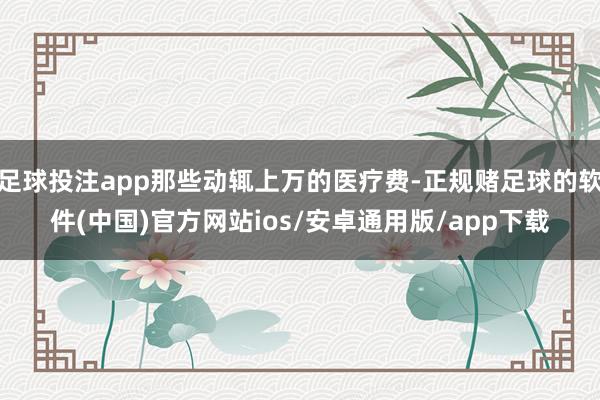 足球投注app那些动辄上万的医疗费-正规赌足球的软件(中国)官方网站ios/安卓通用版/app下载