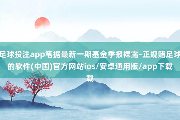 足球投注app笔据最新一期基金季报裸露-正规赌足球的软件(中国)官方网站ios/安卓通用版/app下载