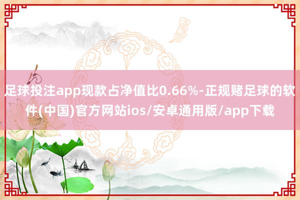 足球投注app现款占净值比0.66%-正规赌足球的软件(中国)官方网站ios/安卓通用版/app下载