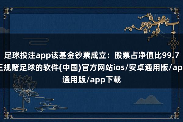 足球投注app该基金钞票成立：股票占净值比99.76%-正规赌足球的软件(中国)官方网站ios/安卓通用版/app下载