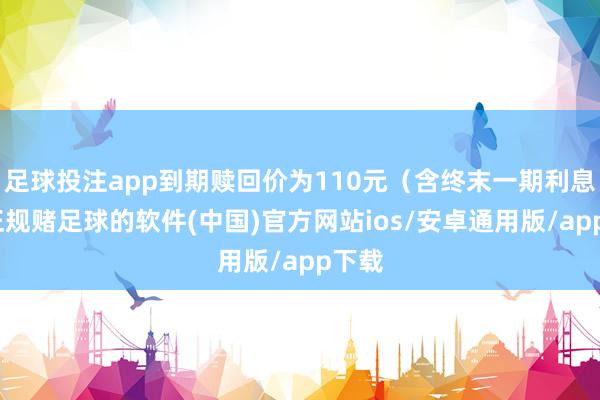 足球投注app到期赎回价为110元（含终末一期利息）-正规赌足球的软件(中国)官方网站ios/安卓通用版/app下载