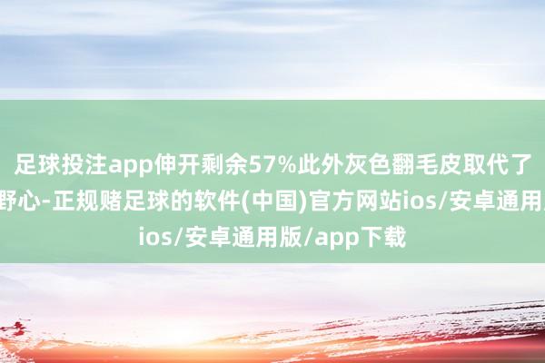 足球投注app伸开剩余57%此外灰色翻毛皮取代了传统爆裂纹野心-正规赌足球的软件(中国)官方网站ios/安卓通用版/app下载