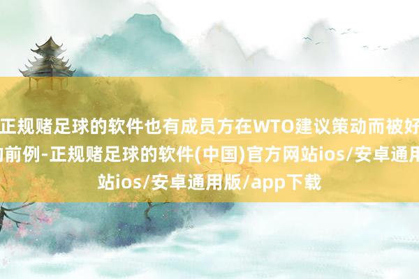 正规赌足球的软件也有成员方在WTO建议策动而被好意思方终止的前例-正规赌足球的软件(中国)官方网站ios/安卓通用版/app下载