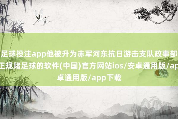 足球投注app他被升为赤军河东抗日游击支队政事部主任-正规赌足球的软件(中国)官方网站ios/安卓通用版/app下载