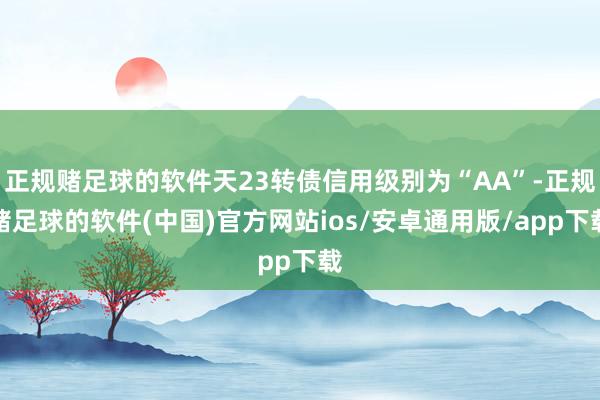 正规赌足球的软件天23转债信用级别为“AA”-正规赌足球的软件(中国)官方网站ios/安卓通用版/app下载