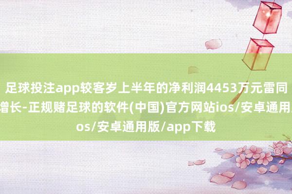 足球投注app较客岁上半年的净利润4453万元雷同出现爆发式增长-正规赌足球的软件(中国)官方网站ios/安卓通用版/app下载