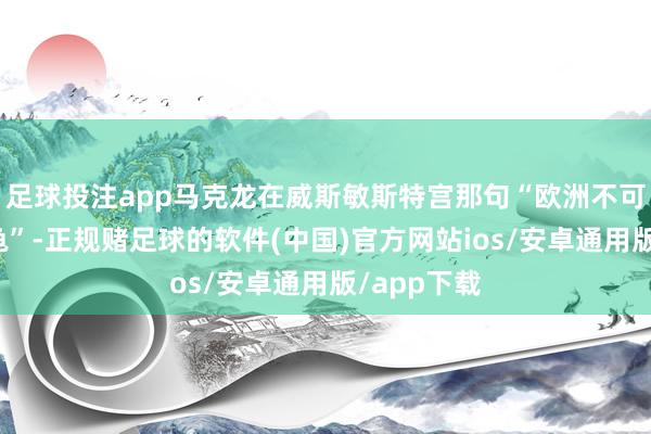 足球投注app马克龙在威斯敏斯特宫那句“欧洲不可当缩头乌龟”-正规赌足球的软件(中国)官方网站ios/安卓通用版/app下载